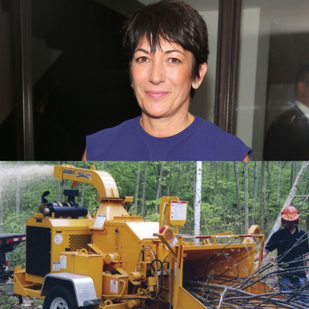 Paul Dudar maxwell woodchipper